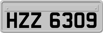 HZZ6309