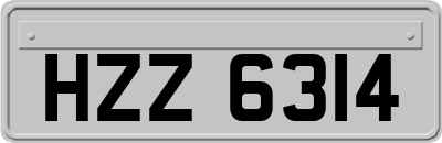 HZZ6314