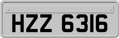 HZZ6316