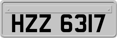 HZZ6317