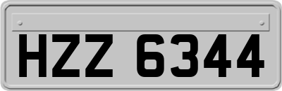 HZZ6344