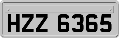 HZZ6365
