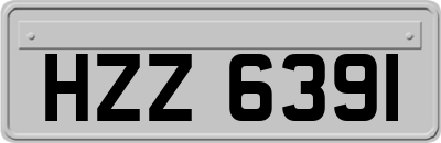 HZZ6391