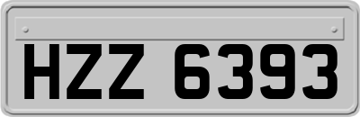 HZZ6393