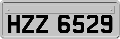 HZZ6529