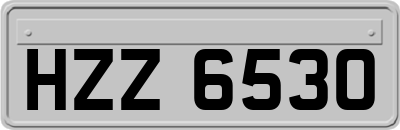 HZZ6530