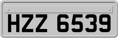HZZ6539