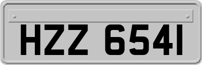 HZZ6541