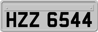 HZZ6544