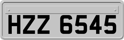 HZZ6545