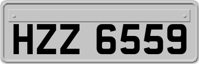 HZZ6559