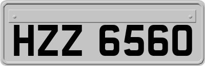 HZZ6560