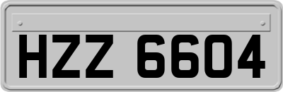 HZZ6604