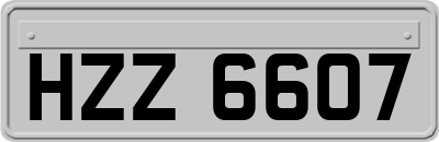 HZZ6607