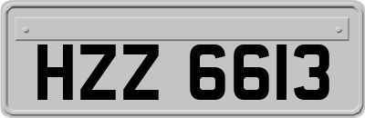 HZZ6613