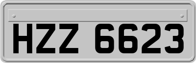 HZZ6623
