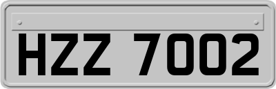 HZZ7002