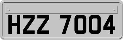 HZZ7004