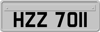HZZ7011