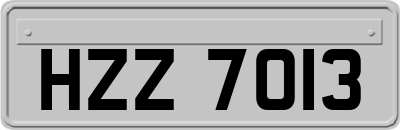 HZZ7013
