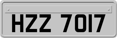 HZZ7017
