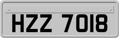 HZZ7018