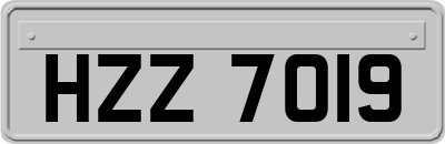 HZZ7019