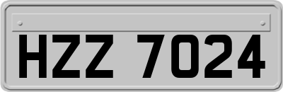 HZZ7024
