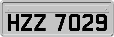 HZZ7029
