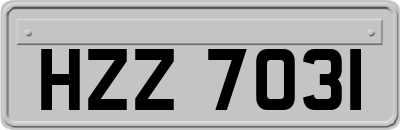 HZZ7031