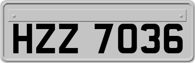 HZZ7036