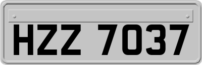 HZZ7037