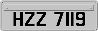 HZZ7119