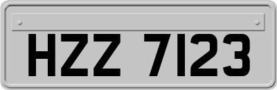 HZZ7123