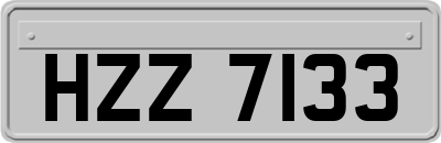 HZZ7133
