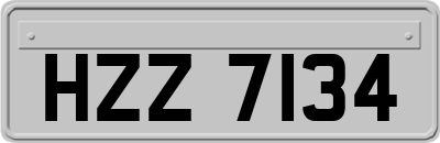 HZZ7134