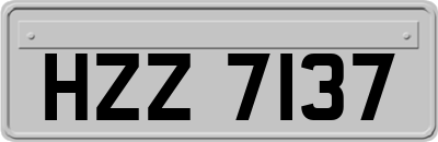 HZZ7137