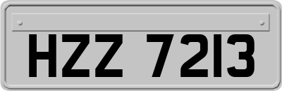 HZZ7213