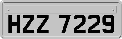 HZZ7229