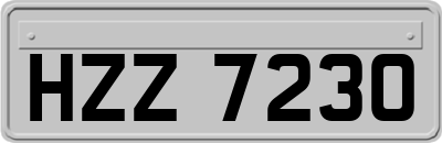HZZ7230