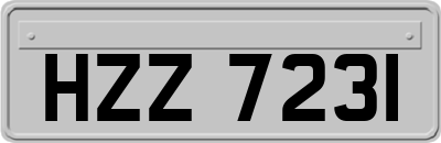 HZZ7231