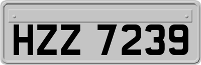 HZZ7239