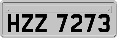 HZZ7273