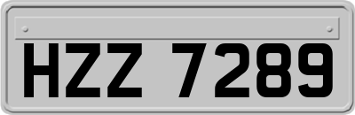 HZZ7289