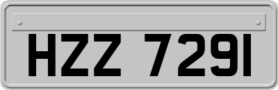 HZZ7291