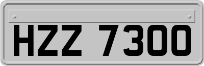 HZZ7300
