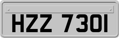 HZZ7301