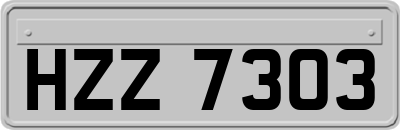 HZZ7303