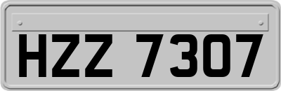 HZZ7307