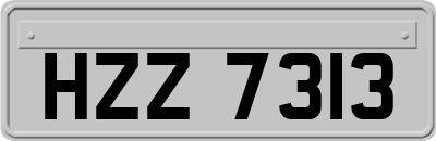 HZZ7313